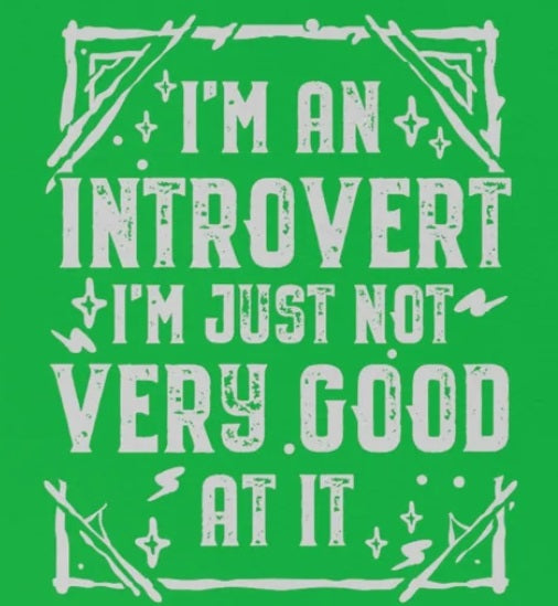 Funny Introvert Hoodie